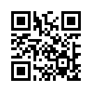 QR CODE 3133