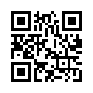 QR CODE 3909