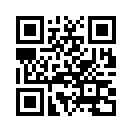 QR CODE 110