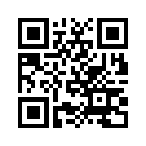 QR CODE 133