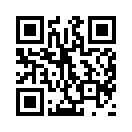 QR CODE 42
