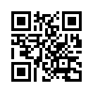 QR CODE 53