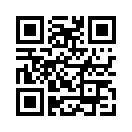 QR CODE 31