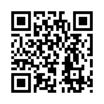 QR CODE 110