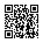 QR CODE 216
