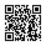 QR CODE 305