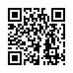 QR CODE 317