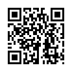QR CODE 336