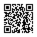 QR CODE 394