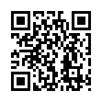 QR CODE 461