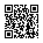 QR CODE 494