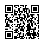 QR CODE 515