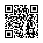 QR CODE 519