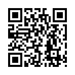 QR CODE 528