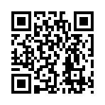 QR CODE 529