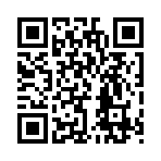 QR CODE 538