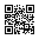 QR CODE 2381