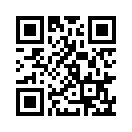 QR CODE 2461