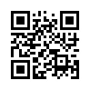 QR CODE 2817