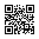 QR CODE 2833