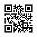 QR CODE 511