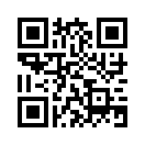 QR CODE 538