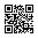 QR CODE 993