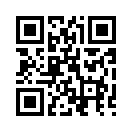 QR CODE 110