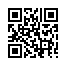 QR CODE 133