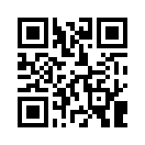 QR CODE 1113