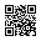 QR CODE 31
