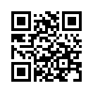 QR CODE 42