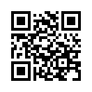 QR CODE 53