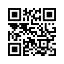 QR CODE 110