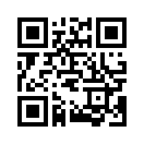 QR CODE 1333
