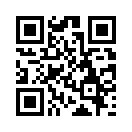 QR CODE 1337