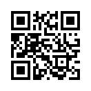 QR CODE 461