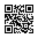 QR CODE 494