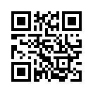 QR CODE 509
