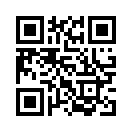 QR CODE 511