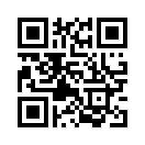 QR CODE 519