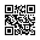 QR CODE 528