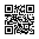 QR CODE 738