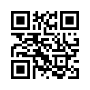 QR CODE 868