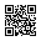 QR CODE 495