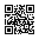 QR CODE 810
