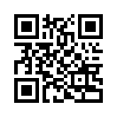 QR CODE 35
