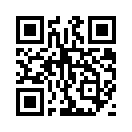 QR CODE 41