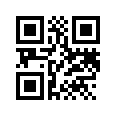 QR CODE 133