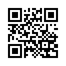 QR CODE 31